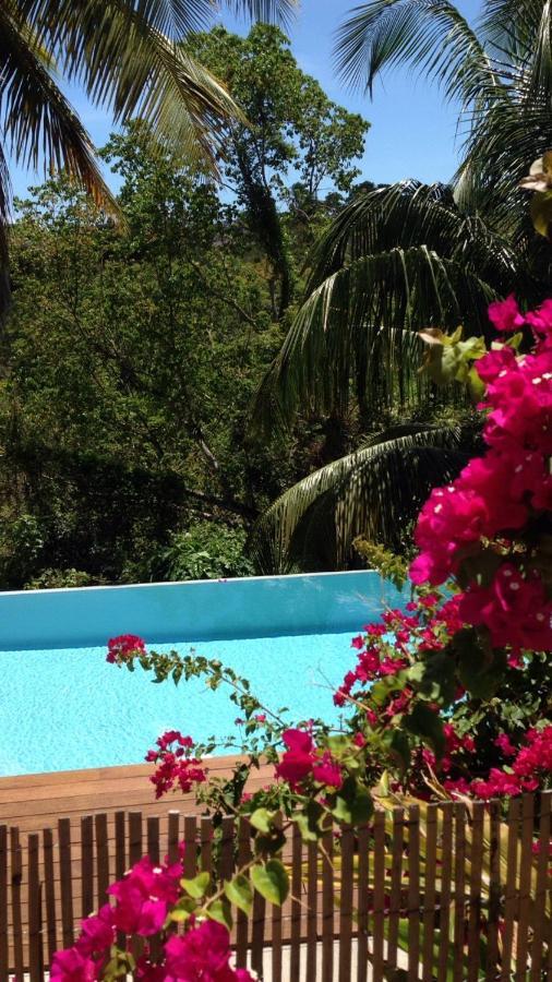 Confortable T1 Le Gosier, Wi-Fi, Piscine Dans Gite Le Gosier  Bagian luar foto